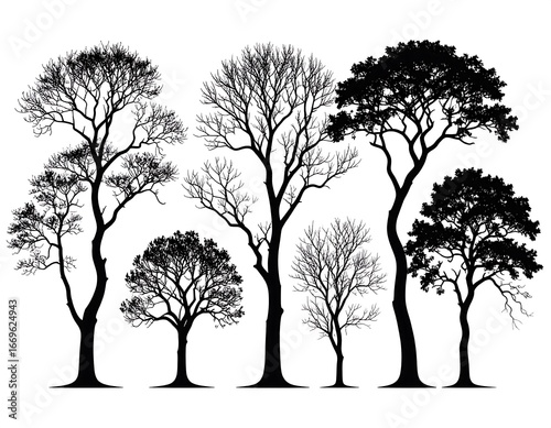 Silhouettes of various trees against a white background