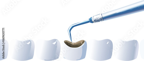 Teaching children about oral hygiene using vector image of dental examination
Tooth anatomy and dental tool vector promoting healthy habits for young minds