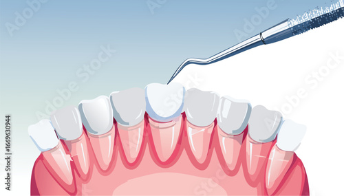Tooth anatomy and dental tool vector for teaching oral health to children
Educational vector showing dental hygiene process for young audiences