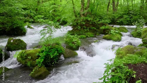 初夏の奥入瀬渓流・流れ（青森県・十和田市）
