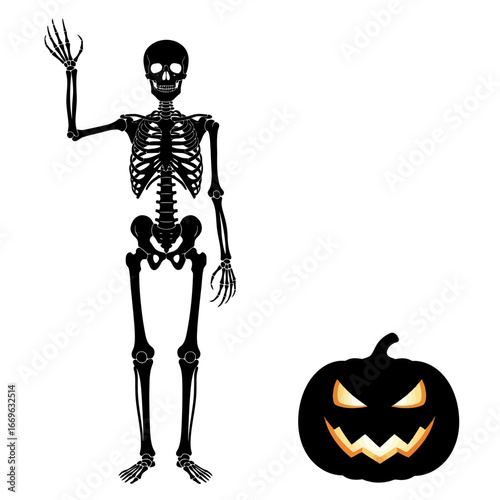 halloween skeleton with pumpkin