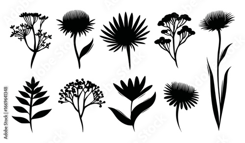 Elegant Silhouettes of Various Floral Designs and Botanical Elements