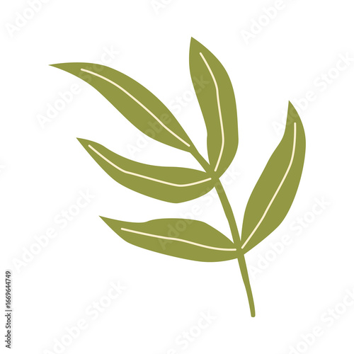 green leaves isolated on white background