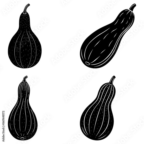 Four black and white gourds with unique shapes and textures arranged in a square pattern on white