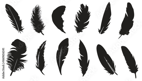 Collection of various black feather silhouettes isolated on a white background in different orientations