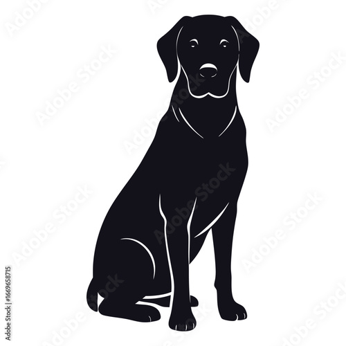 Vector art of sitting black silhouette of a labrador retriever dog, elegant canine portrait
