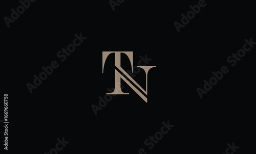 TN,NT,T,N,N,T abstract, letters, logo, monogram, style, symbols, ambitions, icons, 
