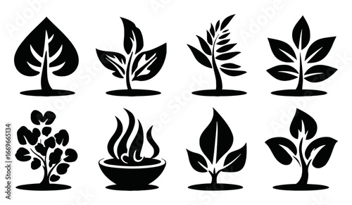 Black and White Silhouettes of Various Leaf and Plant Designs