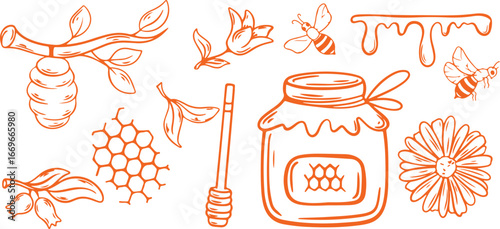 Honey Bee Jar Sweet Nature Doodle Illustration Sketch Design Floral Organic Pattern Vector Drawing Food Dessert Apiary Nectar Art
