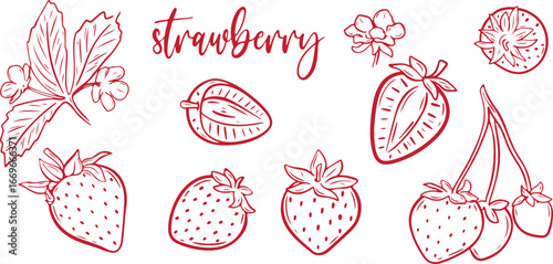 Berry, Strawberry, Fruit, Food, Sweet, Nature, Plant, Sketch, Drawing, Red, Fresh, Delicious, Juicy, Healthy, Illustration, Natural, Organic, Tasty