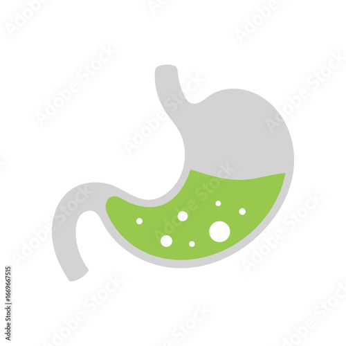 Human stomach shows green fluid and white bubbles on a white background