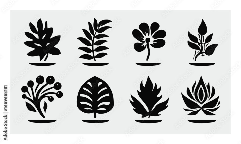 Fototapeta premium Elegant Black and White Botanical Illustrations for Modern Design Projects