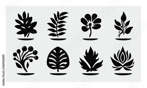 Elegant Black and White Botanical Illustrations for Modern Design Projects