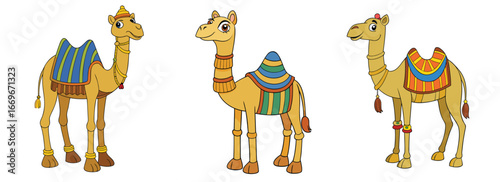 Set of Decorated Desert Camel Vector Illustrations