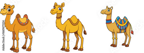 Set of Decorated Desert Camel Vector Illustrations