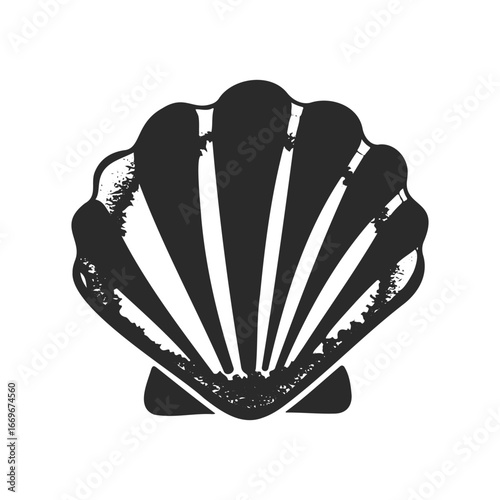 Monochrome seashell illustration with vintage black and white design