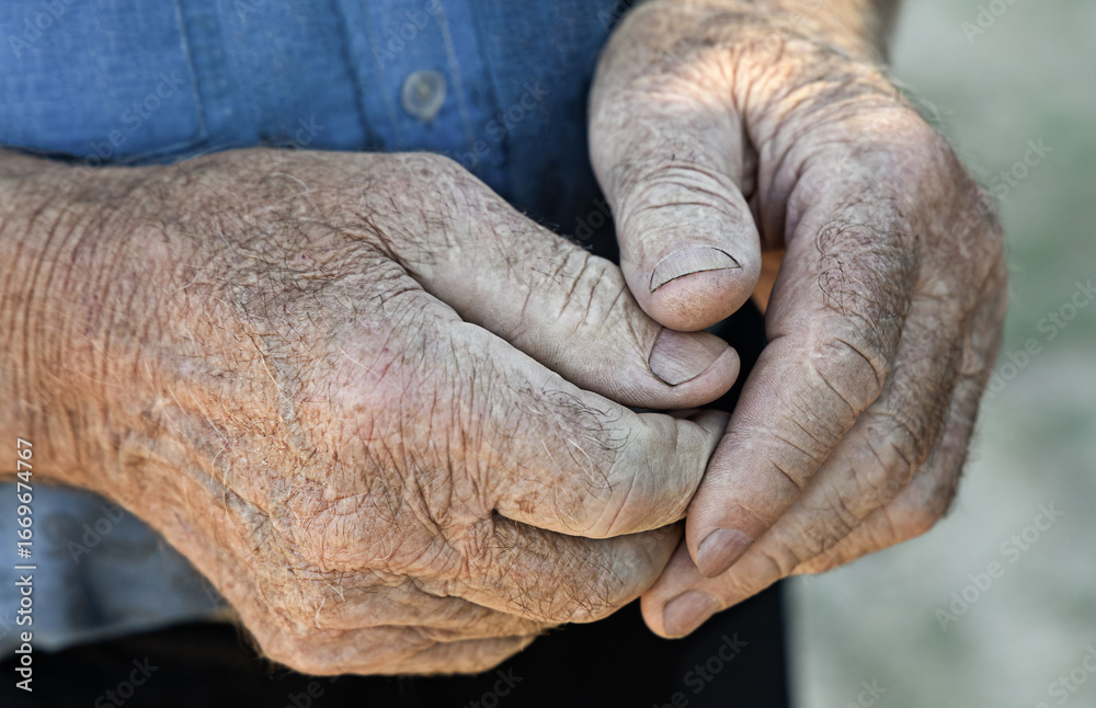 Fototapeta premium close up of elderly man's hands. Senior Adult hands 80 years