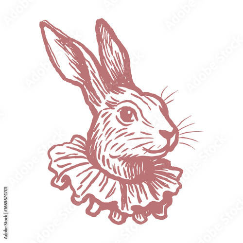 Rabbit in ruff collar engraving sketch black and white vector illustration
