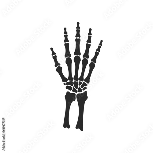Human hand x-ray illustration: detailed skeletal structure in black and white