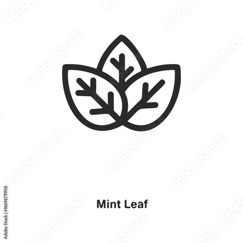 Minimalist mint leaf icon with three veined leaves in black outline design