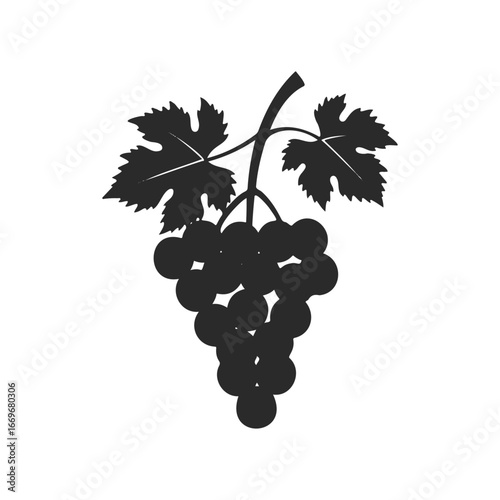 Silhouette of a grape bunch with leaves on vine