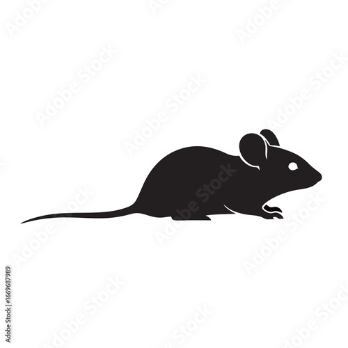 mouse on a white background