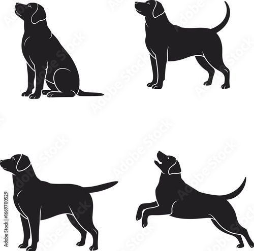 Black Labrador Retriever dog silhouettes in sitting, standing, running, and playful jumping poses, friendly pet, canine breed, domestic animal, vector art.