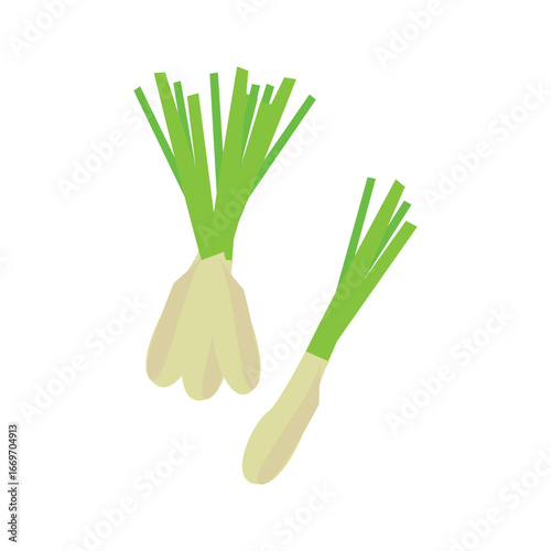 lemongrass logo icon illustration flat