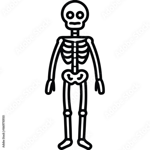 skeleton full body line art vector icon