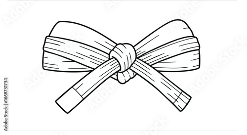 Martial Arts Belt Tie A Detailed Line Drawing Guide