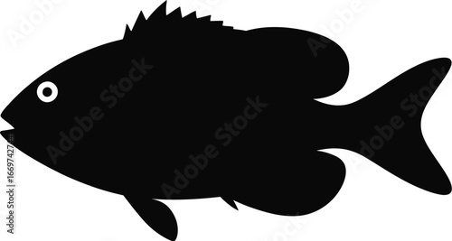 Black fish silhouette with white eye vector