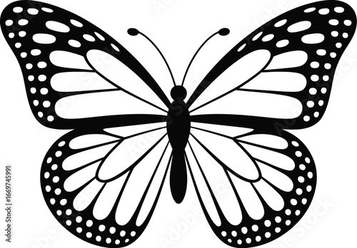 Monarch butterfly black white insect wings