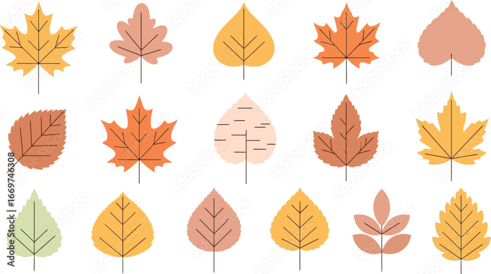 Fototapeta premium Autumn leaves collection: stunning fall foliage designs for elegant seasonal projects