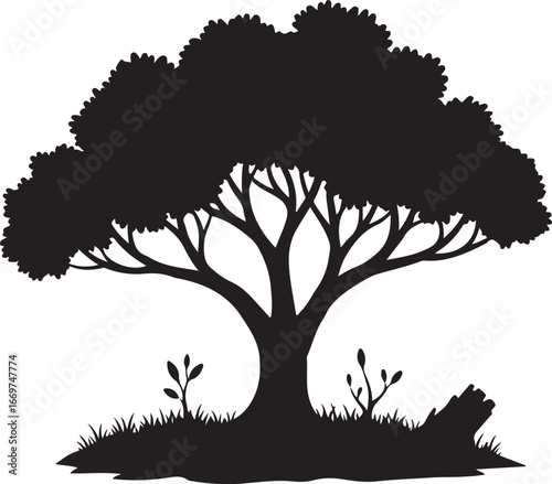 Silhouette of a tree with grass and a fallen log nature