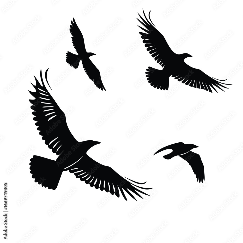 Fototapeta premium Four birds silhouettes vector illustration with dynamic flight poses