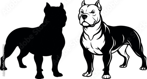 Black and white American Pit Bull Terrier vector illustration silhouette isolated on white background.
