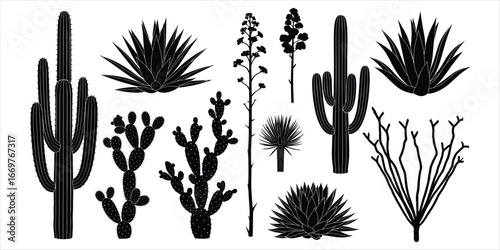 Collection of Desert Plants and Cacti Silhouettes on White Background Keywords: cactus, desert