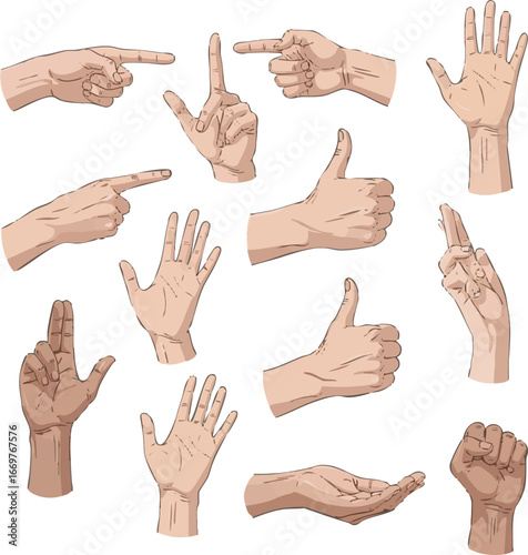 create need kinds of different free hands holding vector art with white background.