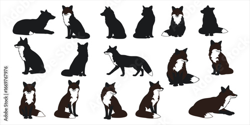 Collection of fox silhouettes in various poses on white background animal wildlife