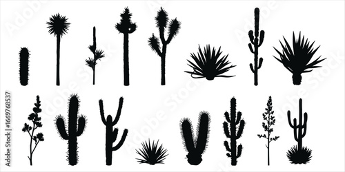Diverse Collection of Desert Plant Silhouettes on White Background cactus succulent