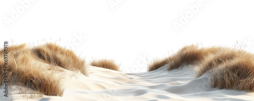 Sand dunes with dry grass isolated on transparent background