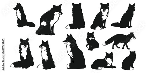 Eleven black fox silhouettes in different poses on white background animal wildlife