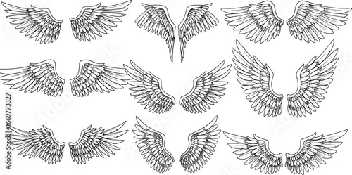 Hand drawn angel wings, set of feather wing designs, fantasy bird wing illustration, black and white sketch, mystical tattoo concept, vector wing elements