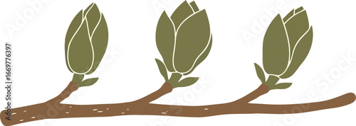 Spring awakening three green buds on branch emerging new life growth nature vector