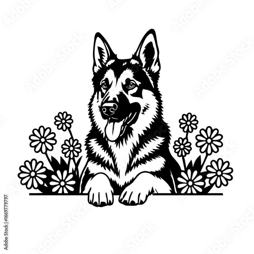 vector illustration of a dog