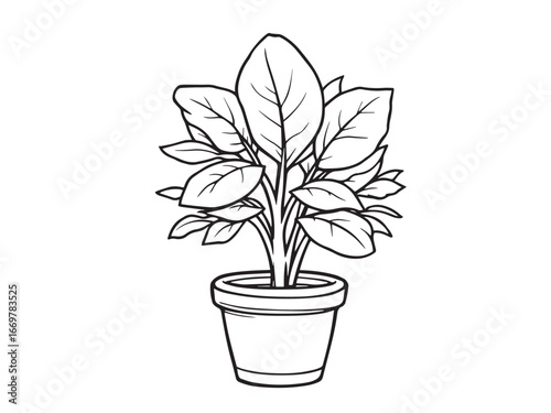 Artistic Plant Outline Illustration