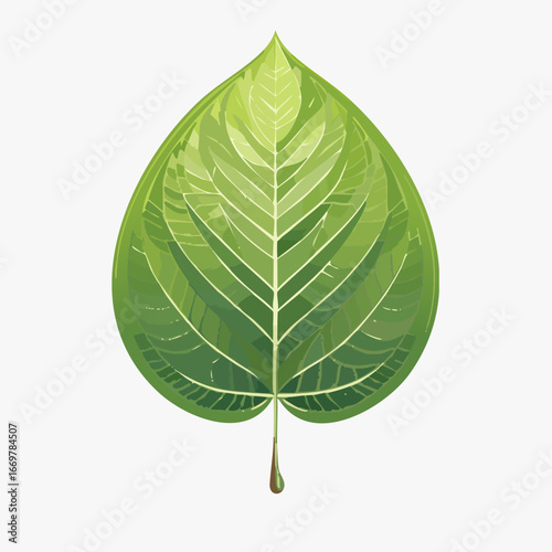 Detailed close up of a vibrant green leaf showing natural beauty
