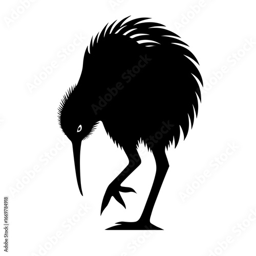 vector illustration of a silhouette of a bird