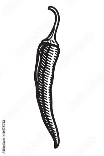 Shishito pepper black and white etching vintage engraving linocut woodcut lineart detailed botanical vegetable illustration for food packaging and label design