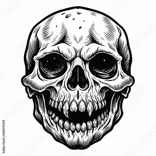 White human skull isolated on a black background, a vector illustration of death and horror